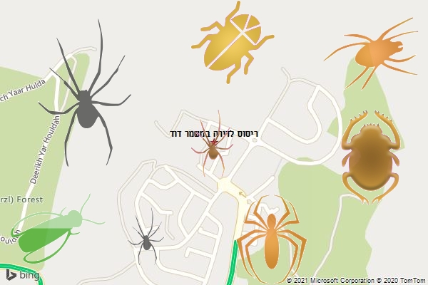 ריסוס לדירה במשמר דוד