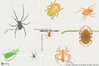 שירות ריסוס במגן שאול - ריסוס לדירה במגן שאול