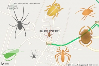 שירות ריסוס בכרם יבנה - ריסוס לדירה בכרם יבנה