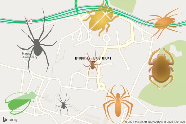 ריסוס לדירה בהגושרים