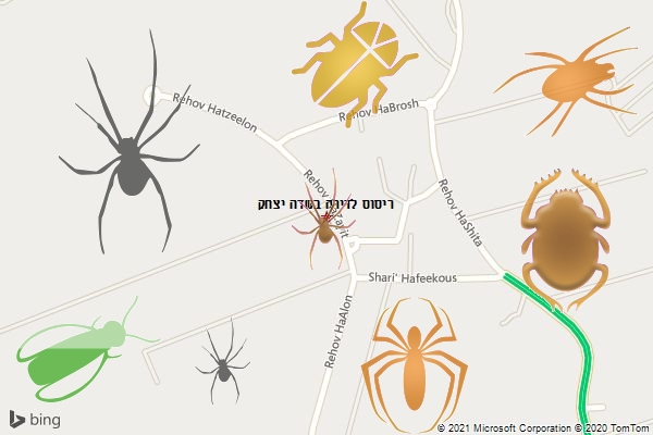 ריסוס לדירה בשדה יצחק