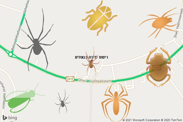 ריסוס לדירה בגאולים