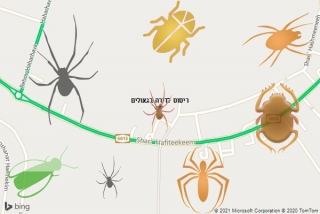 שירות ריסוס בגאולים - ריסוס לדירה בגאולים