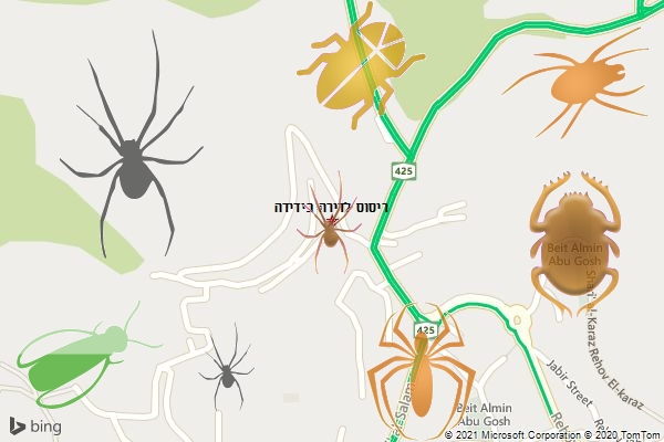 ריסוס לדירה בידידה