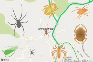 שירות ריסוס בידידה - ריסוס לדירה בידידה