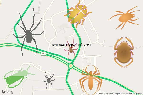ריסוס לדירה בקיבוץ גבעת חיים