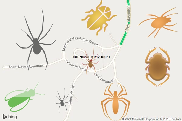 ריסוס לדירה בפעמי תשז