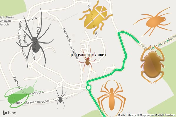 ריסוס לדירה במעין ברוך