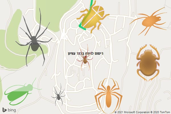 ריסוס לדירה בכפר עציון