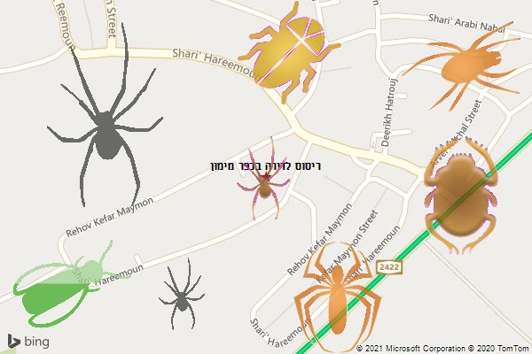 ריסוס לדירה בכפר מימון