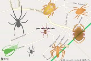שירות ריסוס בכפר מימון - ריסוס לדירה בכפר מימון