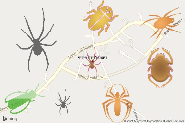 ריסוס לדירה ביכיני