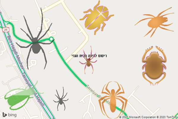 ריסוס לדירה בבית הגדי