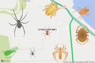 שירות ריסוס בדגניה א - ריסוס לדירה בדגניה א