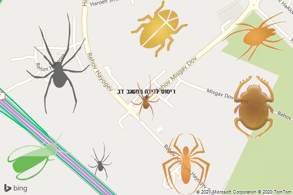 ריסוס לדירה במשגב דב