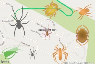 שירות ריסוס בהושעיה - ריסוס לדירה בהושעיה