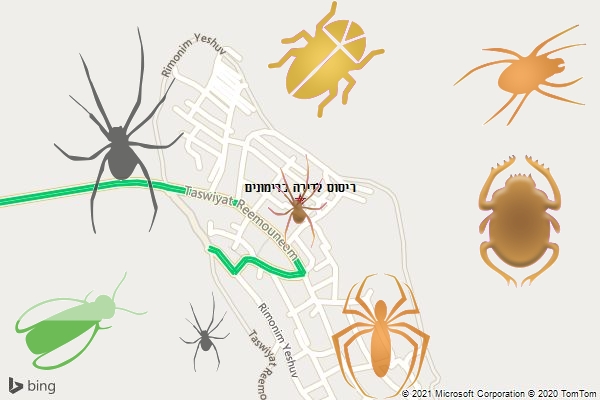 ריסוס לדירה ברימונים