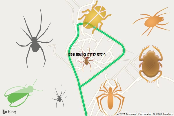 ריסוס לדירה במצפה שלם