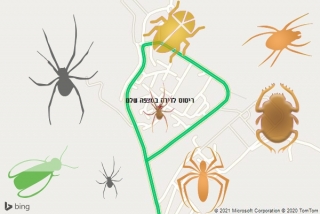 שירות ריסוס במצפה שלם - ריסוס לדירה במצפה שלם