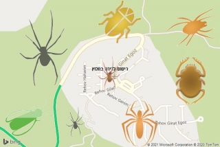 שירות ריסוס בחלוץ - ריסוס לדירה בחלוץ