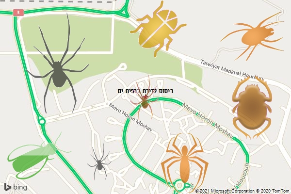 ריסוס לדירה ברפיח ים