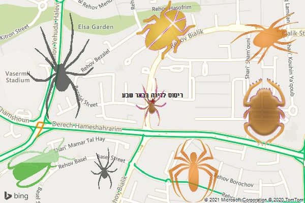 ריסוס לדירה בבאר שבע