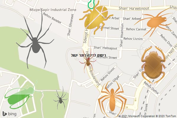 ריסוס לדירה בצור יגאל