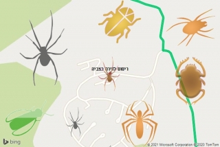 שירות ריסוס בצביה - ריסוס לדירה בצביה