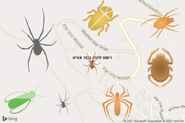 ריסוס לדירה בכפר אוריה