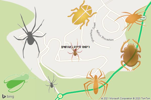 ריסוס לדירה בשורשים