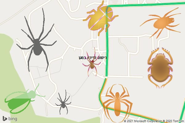 ריסוס לדירה במגן