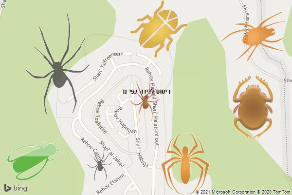 ריסוס לדירה בפי נר