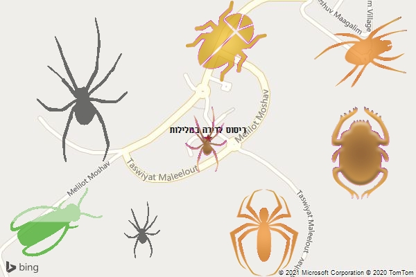 ריסוס לדירה במלילות