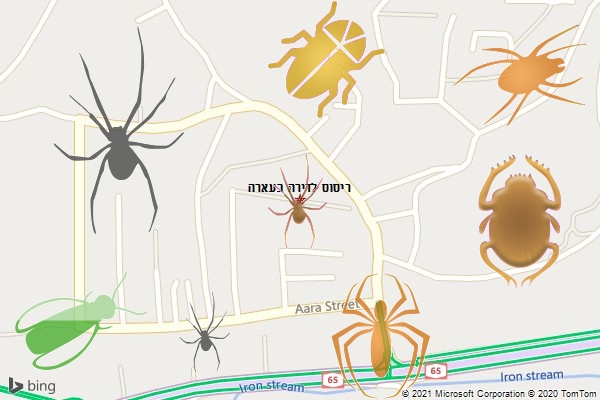 ריסוס לדירה בעארה