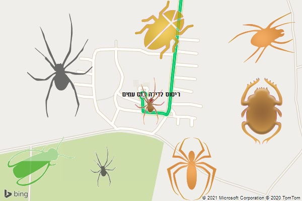 ריסוס לדירה בנס עמים