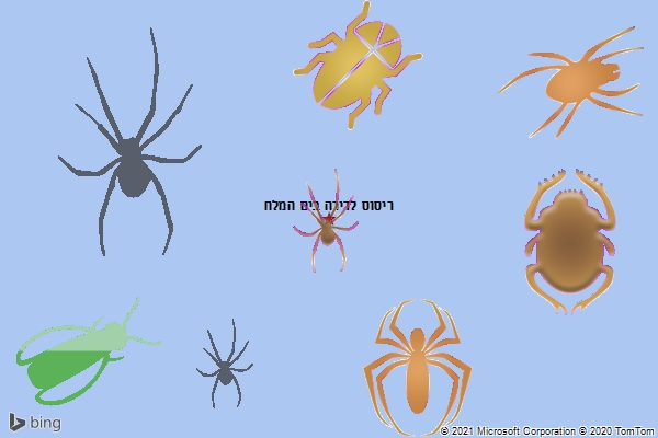 ריסוס לדירה בים המלח