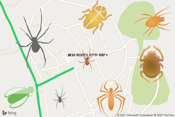 ריסוס לדירה בלהבות הבשן