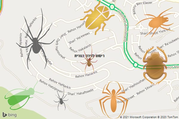 ריסוס לדירה בנורית