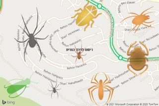 שירות ריסוס בנורית - ריסוס לדירה בנורית
