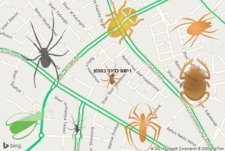 שירות ריסוס בחולון - ריסוס לדירה בחולון