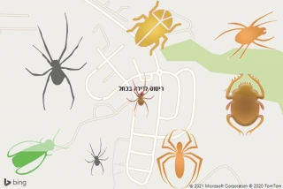 שירות ריסוס בכחל - ריסוס לדירה בכחל