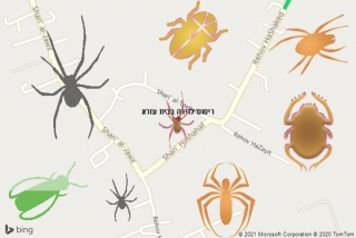 שירות ריסוס בבית עזרא - ריסוס לדירה בבית עזרא
