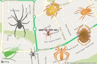 שירות ריסוס בבני עצמון - ריסוס לדירה בבני עצמון