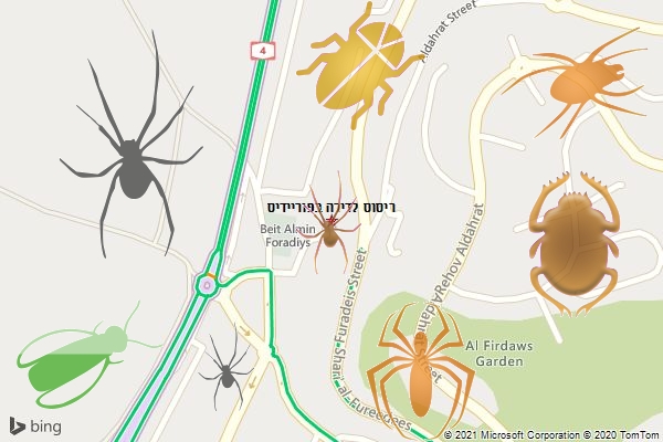 ריסוס לדירה בפוריידיס
