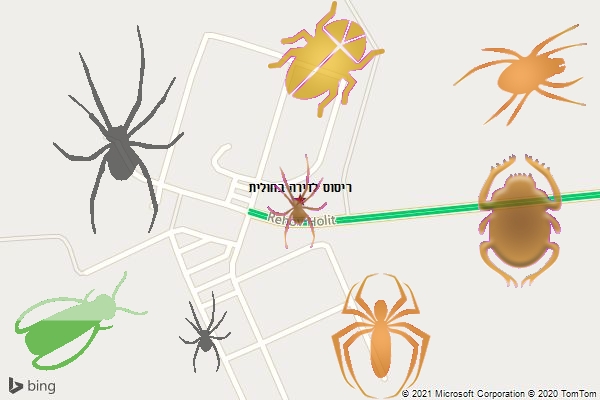 ריסוס לדירה בחולית