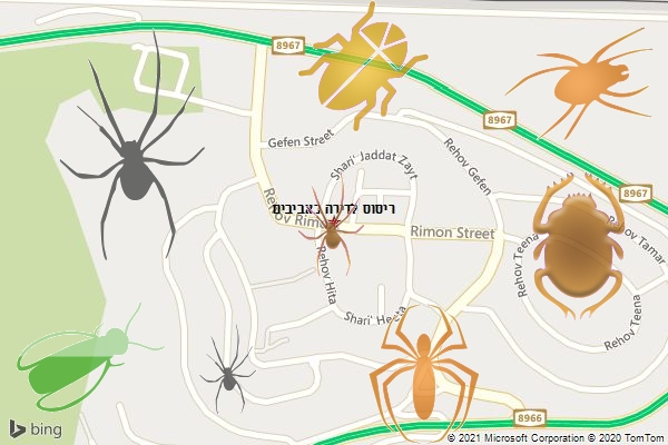 ריסוס לדירה באביבים