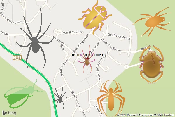 ריסוס לדירה בקורנית