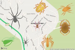  בקורנית - ריסוס לדירה בקורנית