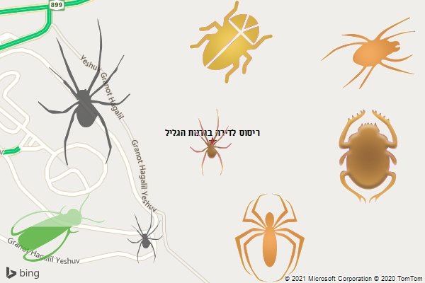 ריסוס לדירה בגרנות הגליל
