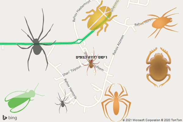 ריסוס לדירה בצופים